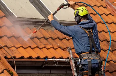 Démoussage et hydrofuge de toiture à Gries